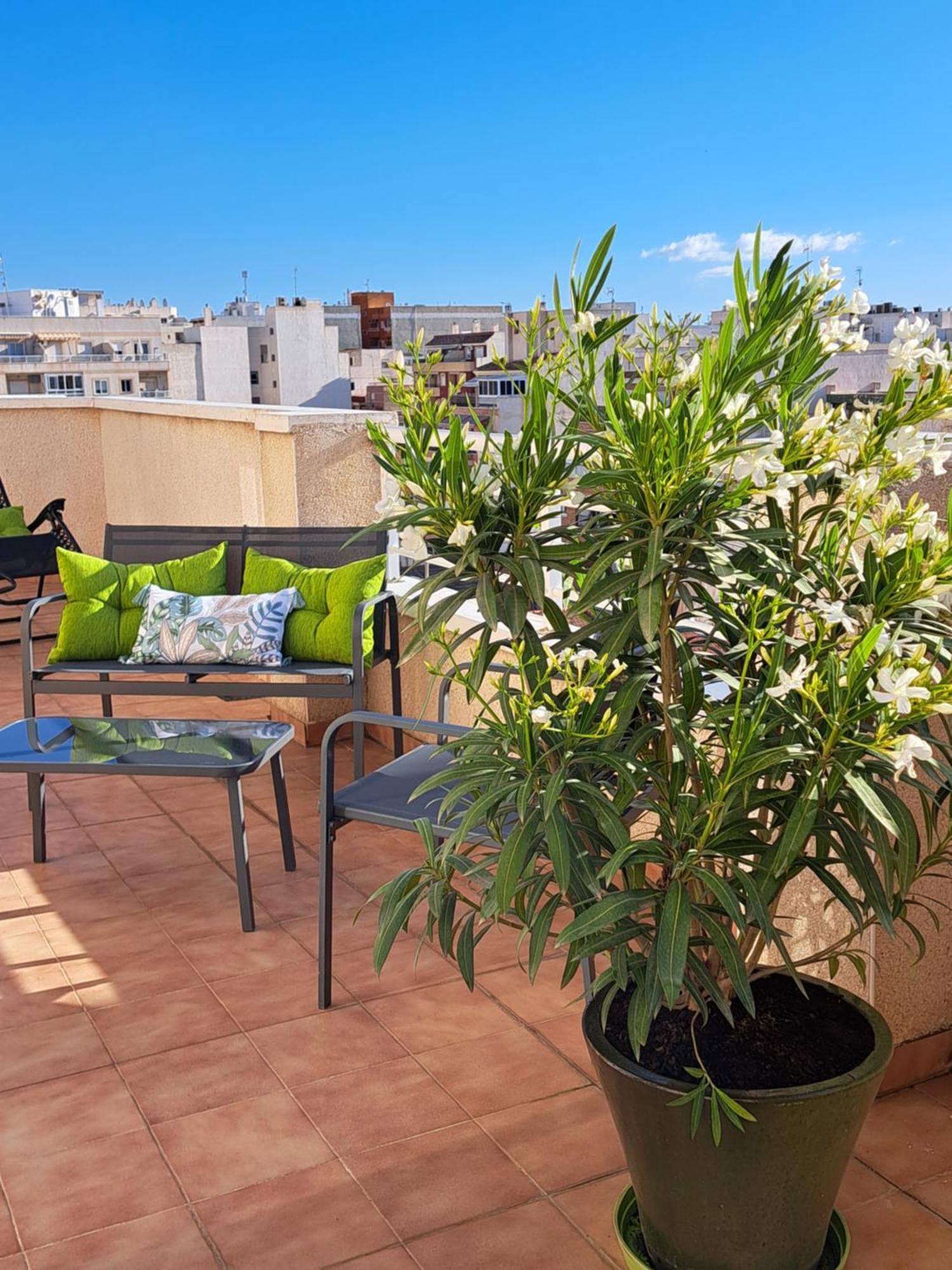 Atico Roof Top Torrevieja Extérieur photo